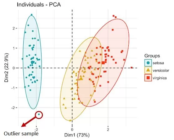 An example of the PCA score plot